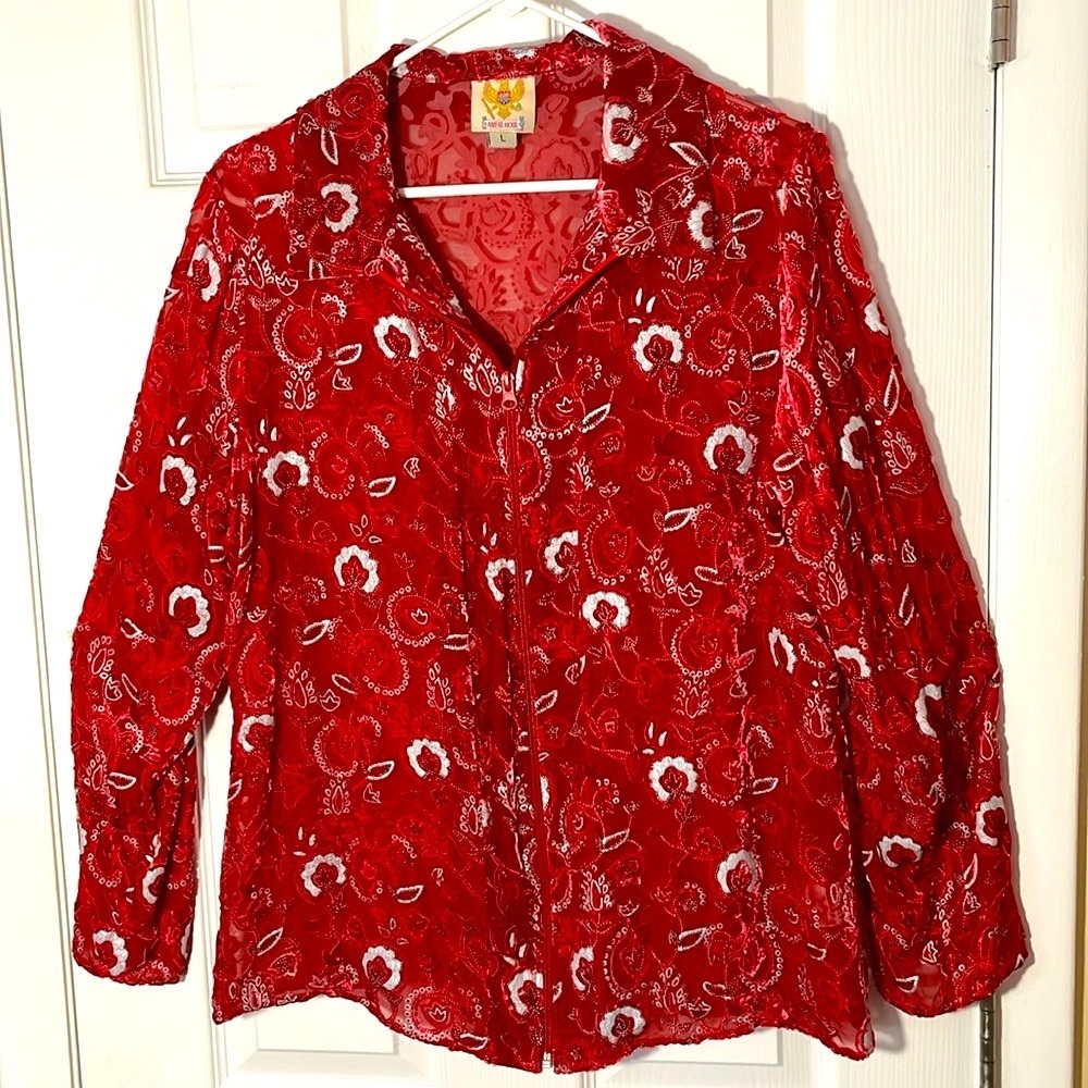 Ameri Mode VTG embroidered silk paisley velvet mesh boho shirt redwhite floral L
